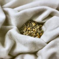 CAMOMILE