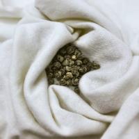 SECRET JASMINE